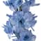 12 Pack: Light Blue Larkspur Stem by Ashland®